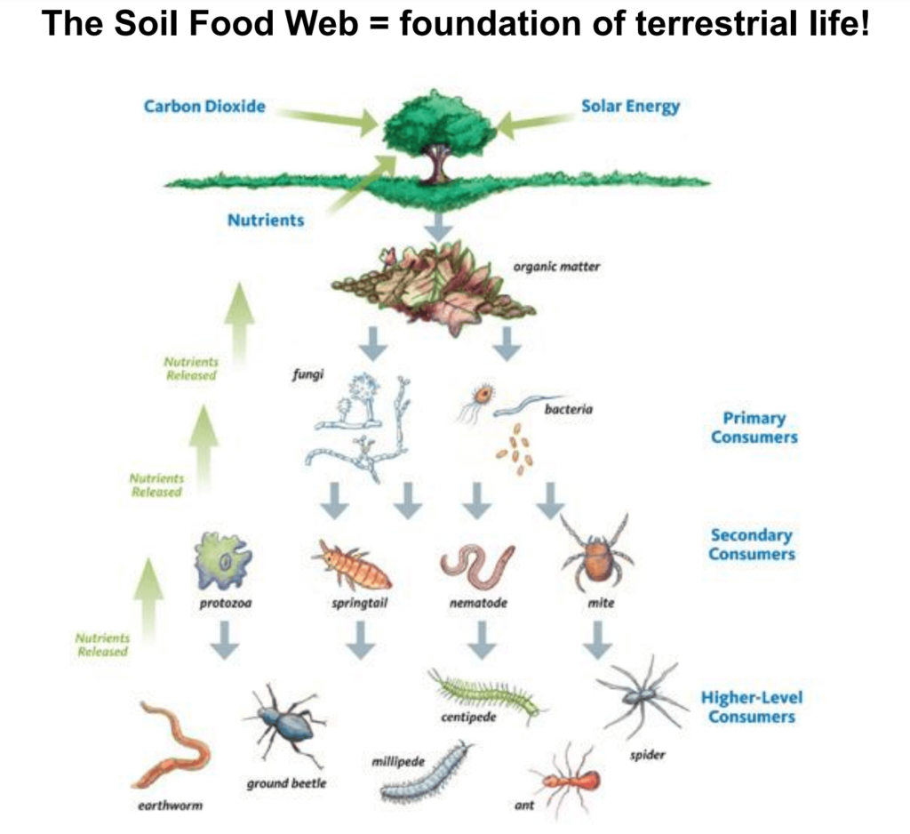 Soil Report - Soil Sense